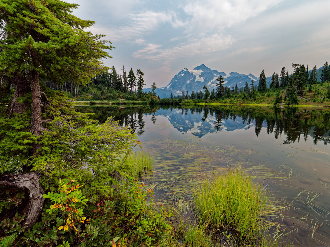 Above: Mt Shuksan Reflected in Picture Lake